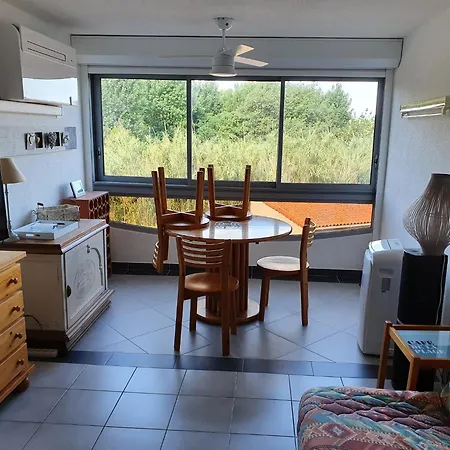 Studio Dans Avec Piscine, 100m De La Mer *